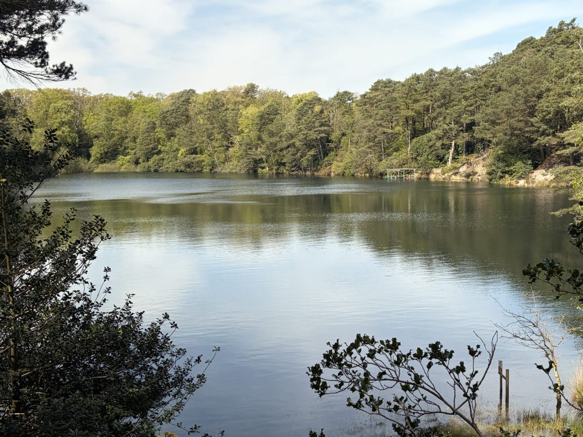 Looking across the Blue Pool in Wareham, Dorset, from the pool's shoreline.