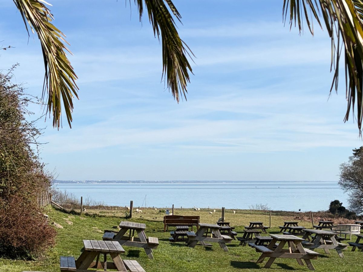 Beer garden at the Bankes Arms in Studland with views across Studland Bay towards Old Harry Rocks