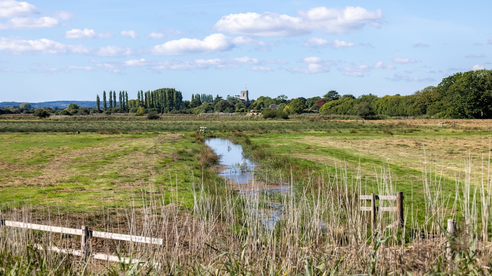 Landscape view towards St Mary's Church in Wareham, Dorset, beneath a clear blue sky.
