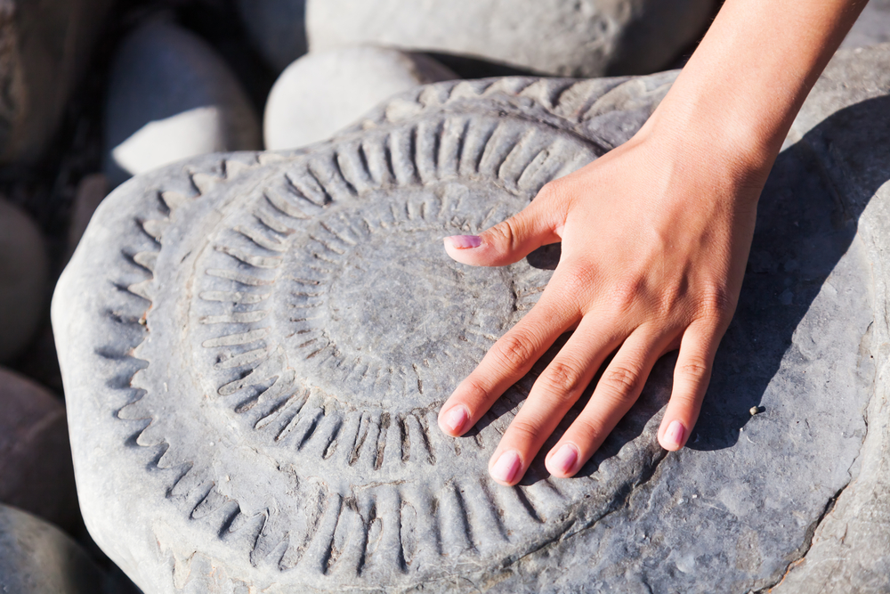 Hand touching an ammonite fossil embedded in rock on a beach
