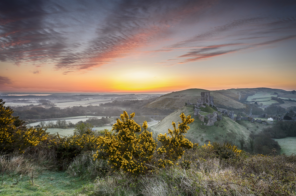 Corfe Castle in the distance at sunrise with mist and frost across the surrounding fields