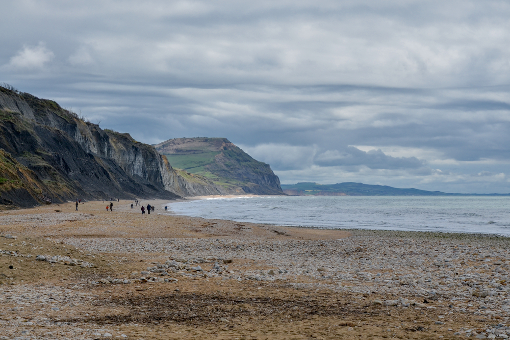 People searching for fossils on Charmouth Beach beneath the Jurassic Coast cliffs