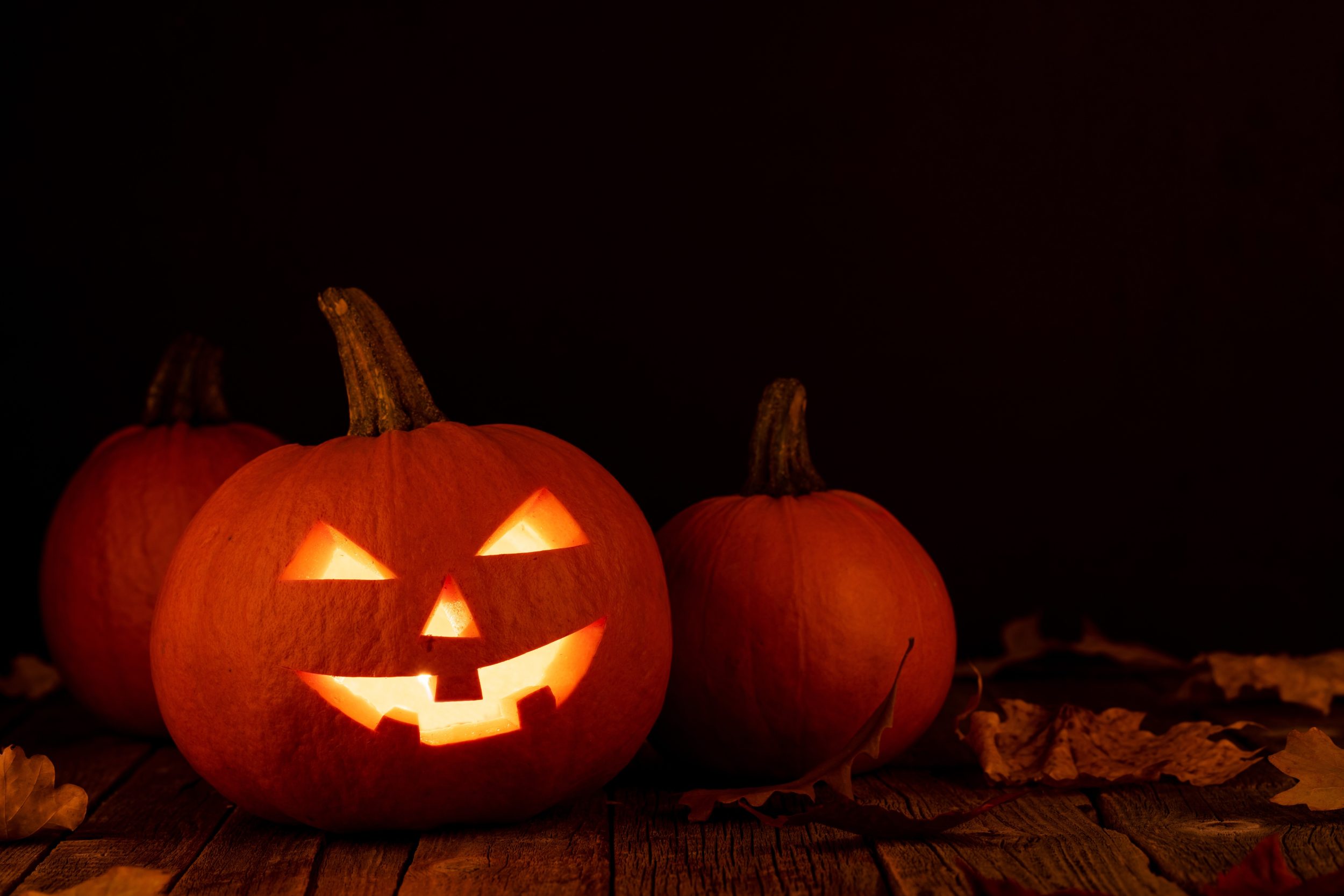 Halloween & October Half-Term 2026 in Dorset: Spooky Days Out, Trails & Family Adventures