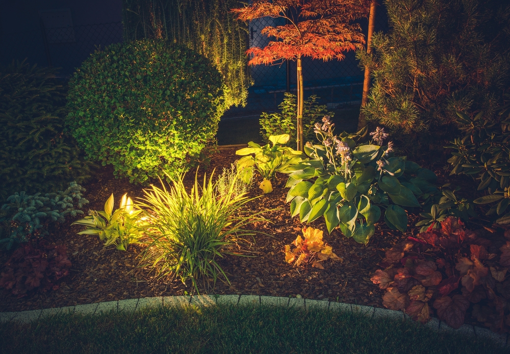 Garden and trees illuminated with colourful lights after dark