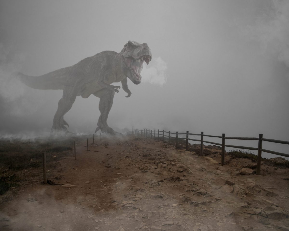 Tyrannosaurus rex beside a muddy track and fence